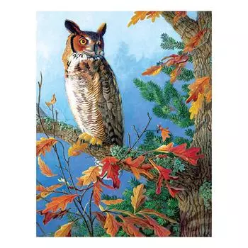5D DIY Алмазная картина животное Сова Полная круглая Алмазная вышивка Крестиком 20X30CM