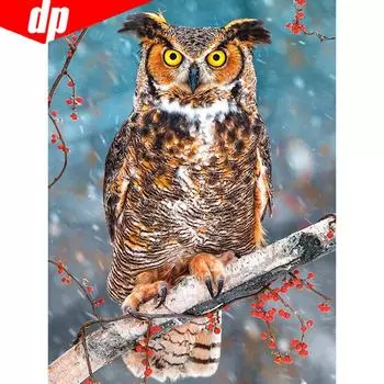 5D DIY Алмазная картина Животное Сова Полная круглая вышивка Продажа Изображение Rhinestone Diamond 20X30