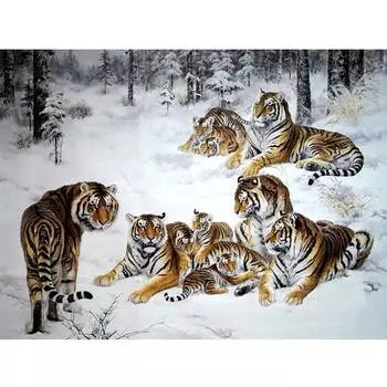 5D Diy Алмазная картина Животное тигр Алмазные картинки Вышивка крестиком 3D Декор для вышивки стразами 20X30CM