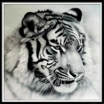 5D Diy Алмазная картина Животное Тигр Имитация Набор для вышивки крестом может быть настроена подарки ручной работы Ремесла Украшение дома 20x20cm