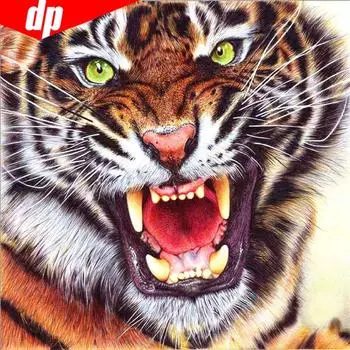 5D DIY Алмазная картина Животное Тигр Полная круглая вышивка Продажа Алмазная мозаика Горный хрусталь Изображение 30x30