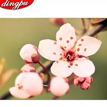 5d Diy Алмазная картина Животное Вышивка Собака Домашнее украшение Мозаика Алмазное искусство Полная дрель 20X30CM