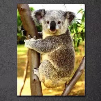 5D DIY Алмазная картина животное вышивка крестиком полная круглая дрель собака кошка тигр Алмазная вышивка украшения для дома 15x20CM