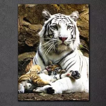 5D DIY Алмазная картина Животные Вышивка крестиком Полный круглый дрель Собака Кошка Тигр Алмазная вышивка Полный комплект Украшение дома Картина 15x20CM