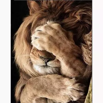 5D DIY Алмазная картина Животные Застенчивый Лев Вышивка крестом Алмазная Алмазная вышивка Домашний Декор Подарок 20X30CM