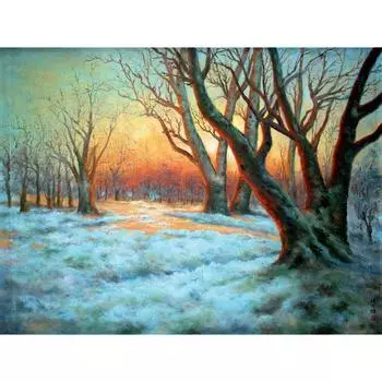 5D DIY Алмазная картина Зима в сумерках Алмазная вышивка Полный мозаичный набор Наборы для вышивки крестом Домашний декор Подарки ручной работы Round 20x30cm