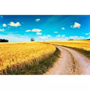 5D Diy Алмазная картина Золотое рисовое поле Алмазная вышивка Крестом Домашний декор Подарки ручной работы Round 20x30cm