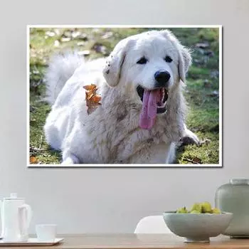 5d Diy Алмазная картина Золотой ретривер Собака Вышивка крестиком Полная алмазная вышивка Алмазные картины 20X30CM