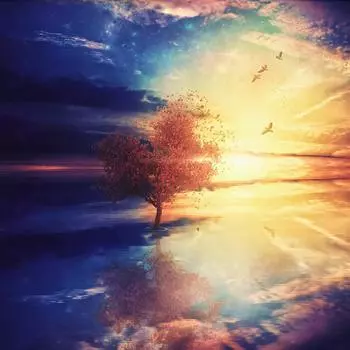 5D Diy Алмазная картина Звездное небо Дерево Алмазная вышивка Полный набор для вышивки крестом Аниме Домашний декор Подарок ручной работы Round 25x25cm