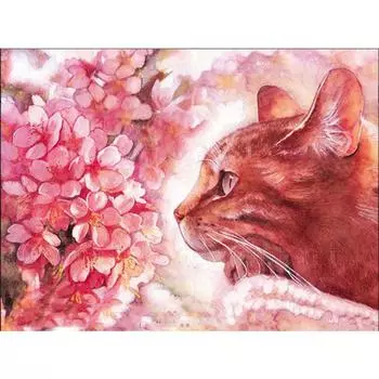 5D Diy Алмазная вышивка Алмазная картина Цветочная кошка Вышивка крестиком Полный Алмазная мозаика Декор Изображение 20X30CM