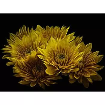 5D DIY Алмазная вышивка Алмазная мозаика Полный желтый цветок Алмазная картина Вышивка крестиком 20X30CM