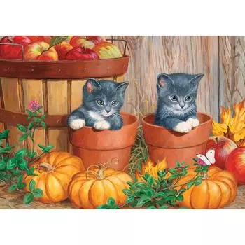 5D DIY Алмазная вышивка Алмазная мозаика Тыква Кот Круглая Алмазная картина Вышивка крестом 20X30CM