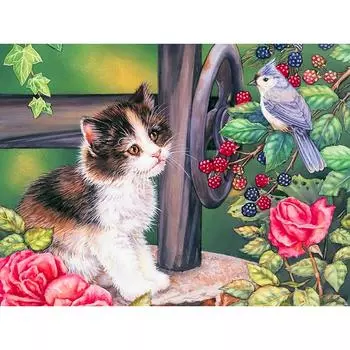 5D DIY Алмазная вышивка Кошки с птицами Алмазная картина Вышивка крестом Горный хрусталь Украшение дома 20X30CM