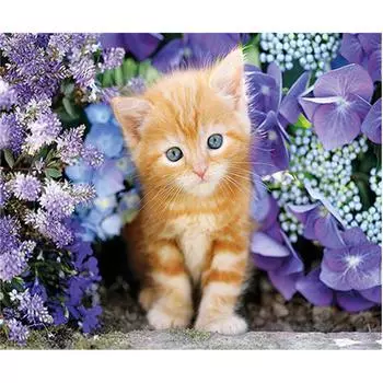 5D Diy Алмазная вышивка Котята в цветах Картина Семейное домашнее украшение 20X30CM