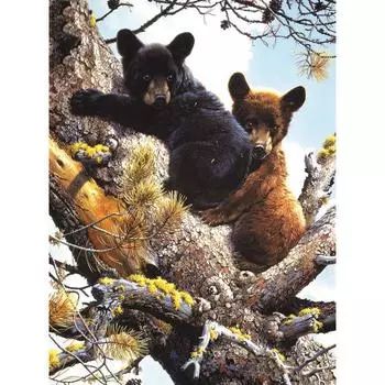 5D DIY Алмазная вышивка Крестиком Медведь Алмазная мозаика Полный круглый алмаз живопись 20X30CM