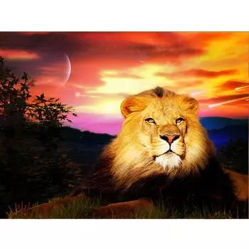 5D DIY Алмазная вышивка Лев Алмазная картина Вышивка крестом Животные Картина Домашний декор 20X30CM