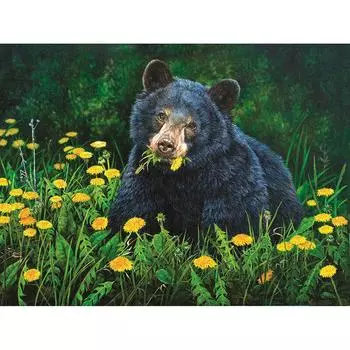 5D DIY Алмазная вышивка Медвежий завтрак Алмазная картина Вышивка крестом Полный круглый горный хрусталь 20X30CM
