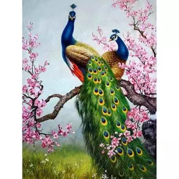 5D DIY Алмазная вышивка Павлин пара сад алмазная живопись вышивка крестиком горный хрусталь мозаичный декор Full Round 20x25CM
