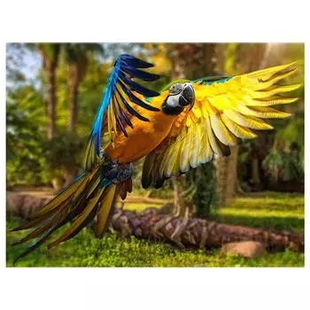 5D DIY Алмазная вышивка Попугай Животное Птица Алмазная картина Вышивка крестом 20X30CM