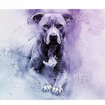 5D DIY Алмазная вышивка Распродажа собака, алмазная живопись Животные Рождество, полная алмазная мозаика изображения из страз Full Round 20x30CM