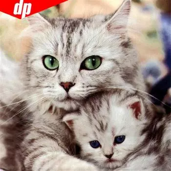 5D DIY Алмазная вышивка Rhinestone Pictures Animal Cat Полный квадрат Алмазная картина 30x30CM