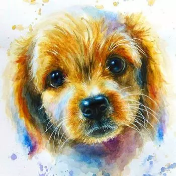 5D DIY Алмазная вышивка собака горный хрусталь искусство полная квадратная алмазная живопись животные вышивка крестиком мозаика украшение дома Full Round 30x30CM