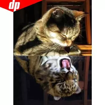 5D DIY Алмазная вышивка Животное Кошка Полный круглый горный хрусталь Алмазная картина Вышивка крестом 20X30CM