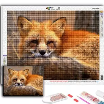 5D DIY Алмазная вышивка Животное Лиса Алмазная картина Мозаика Домашнее украшение Full Round 20X30CM