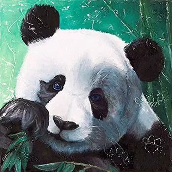 5D Diy Алмазная вышивка Животное Панда Алмазная картина Алмазная вышивка 30x30CM