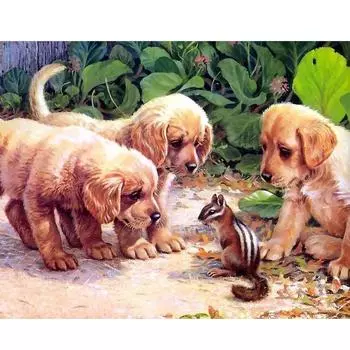 5D DIY алмазная живопись Белка и три собаки Алмазная вышивка полный набор мозаики вышивка крестиком домашний декор подарки ручной работы Round 20x30cm