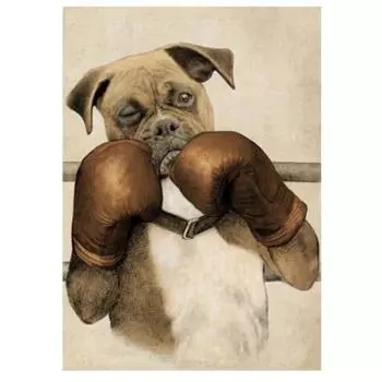 5D DIY алмазная живопись бокс собака набор для вышивки крестом Мозаика Алмазная вышивка роза полная круглая/квадратная дрель украшение дома Round 20x30cm