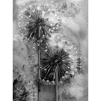 5D DIY алмазная живопись черный и белый одуванчик Алмазная вышивка полный набор мозаики вышивка крестиком домашний декор подарки ручной работы Round 20x30cm