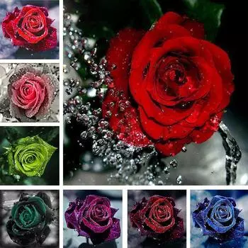 5D DIY алмазная живопись цветок полная круглая алмазная вышивка Роза горный хрусталь мозаика украшение картина набор для вышивки крестом Full Round 20x20CM