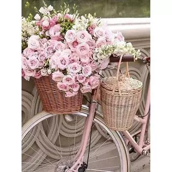 5D DIY алмазная живопись цветок велосипед Алмазная мозаика Алмазная вышивка пейзаж горный хрусталь картина вышивка крестом домашний декор Full Round 20x30CM