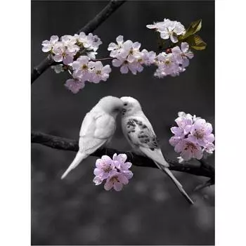 5D DIY алмазная живопись две птицы набор для вышивки крестом Мозаика Алмазная вышивка роза полная круглая/квадратная дрель украшение дома Round 20x30cm