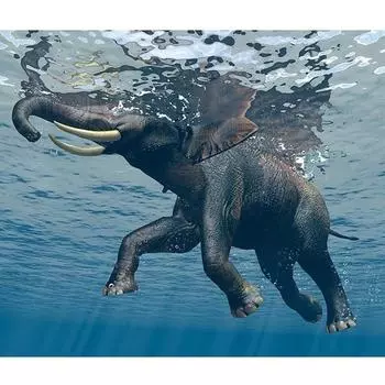 5D DIY Алмазная живопись Искусство Полный дрель Слон Картинки Вышивка Мозаика Вышивка крестом 20X30CM