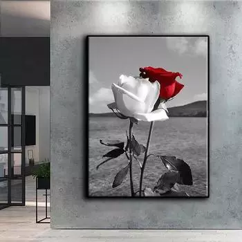 5D Diy алмазная живопись красные и белые розы набор крестиков полная алмазная вышивка мозаика художественная картина стразы Декор подарок Full Round 20x30cm