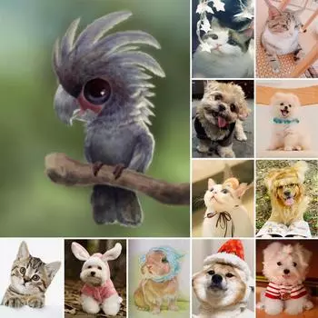 5D DIY алмазная живопись милое домашнее животное горный хрусталь картина полная круглая Алмазная вышивка мозаика подарок комплект для украшения дома Full Round 20x30CM