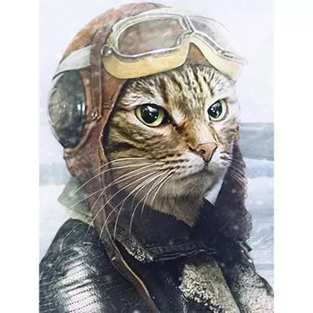 5D DIY алмазная живопись мультфильм военный кот Алмазная вышивка полный набор мозаики вышивка крестиком домашний декор подарки ручной работы Round 20x30cm