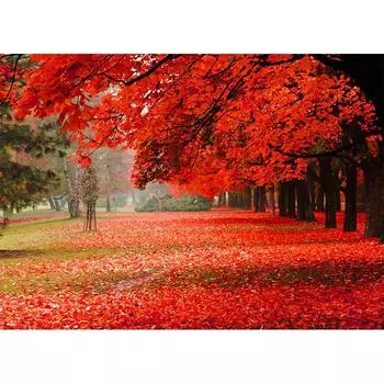 5D DIY алмазная живопись натуральный клен красный алмаз вышивка полный набор мозаики вышивка крестом домашний декор подарки ручной работы Round 20x30cm