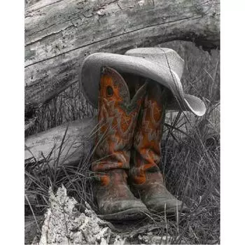 5D DIY алмазная живопись обувь и шляпа набор для вышивки крестом мозаика Алмазная вышивка роза полная круглая/квадратная дрель украшение дома Round 20x30cm