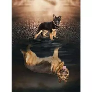 5D DIY алмазная живопись овчарка отражение закат алмазная вышивка полный набор мозаики вышивка крестиком домашний декор подарки ручной работы Round 20x30cm