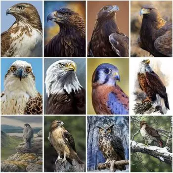 5D DIY алмазная живопись полная круглая дрель Орел Алмазная вышивка мозаика животное набор для вышивки крестом горный хрусталь домашний декор настенное искусство Full Round 20x30CM