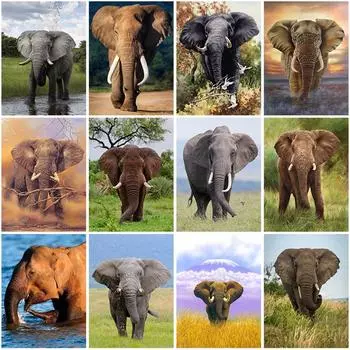 5D DIY алмазная живопись Слон полная круглая дрель Алмазная вышивка крестиком животные мозаика со стразами настенное искусство домашний декор Full Round 20x30CM