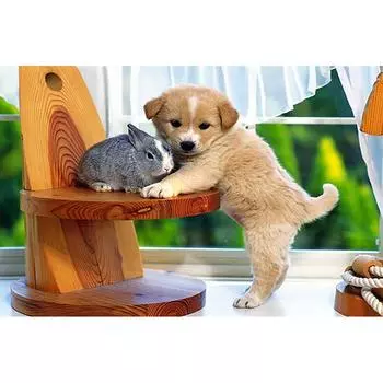 5D DIY Алмазная картина Собака и кролик Вышивка Крестом Горный хрусталь Мозаика Домашний декор 20X30CM