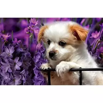 5D DIY Алмазная живопись Собака в цветке Вышивка Крестом Горный хрусталь Мозаика Домашний декор 20X30CM