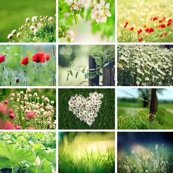 5D DIY алмазная живопись весенний пейзаж художественная картина полная алмазная вышивка мозаика подарки наборы для вышивки крестом домашний декор подарки Full Round 20x30CM