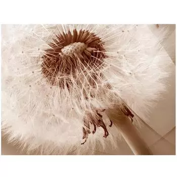 5d diy алмазная живопись вышивка крестиком полная круглая алмазная вышивка 20X30CM