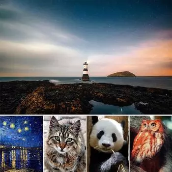 5D DIY алмазная живопись, вышивка крестом, пейзаж и животные, полная дрель, мозаика, вышивка, пара, декор для комнаты, ремесло, искусство Round 20x30cm