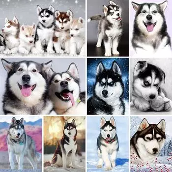 5D DIY алмазная живопись животное хаски картина полная алмазная вышивка горный хрусталь мозаика набор для вышивки крестом украшение мебели Full Round 20x30CM